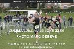 11731 photo